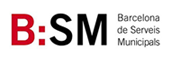 BSM