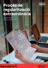 Guía de regularización extraordinaria: empresas