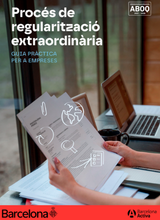 Guia de regularització extraordinària: empreses