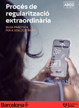 Guia de regularització extraordinària: sol·licitants